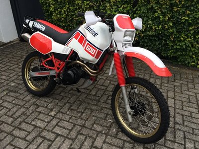 IMG_3299_klein.jpg