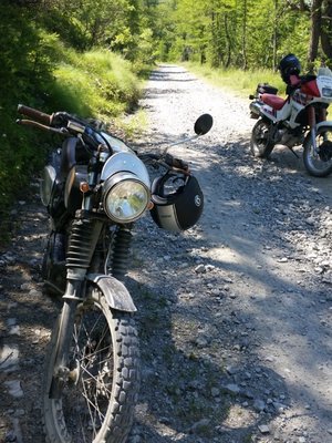 xt3.jpg