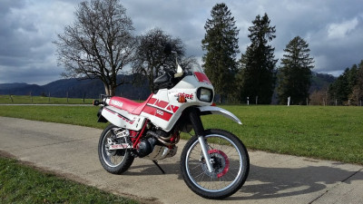 XT600 (Der rechteckige Schweinwerfer gehört zur schweizer 3DS.)