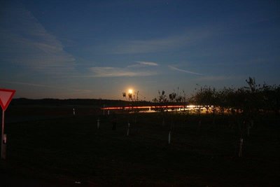 IMG_1001.jpg