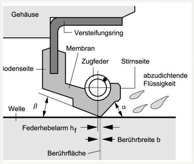 Ohne Titel.jpg