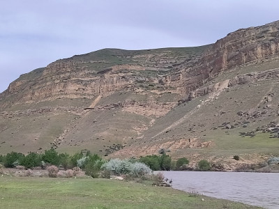 20230504_101248435740996677411203_large.jpg