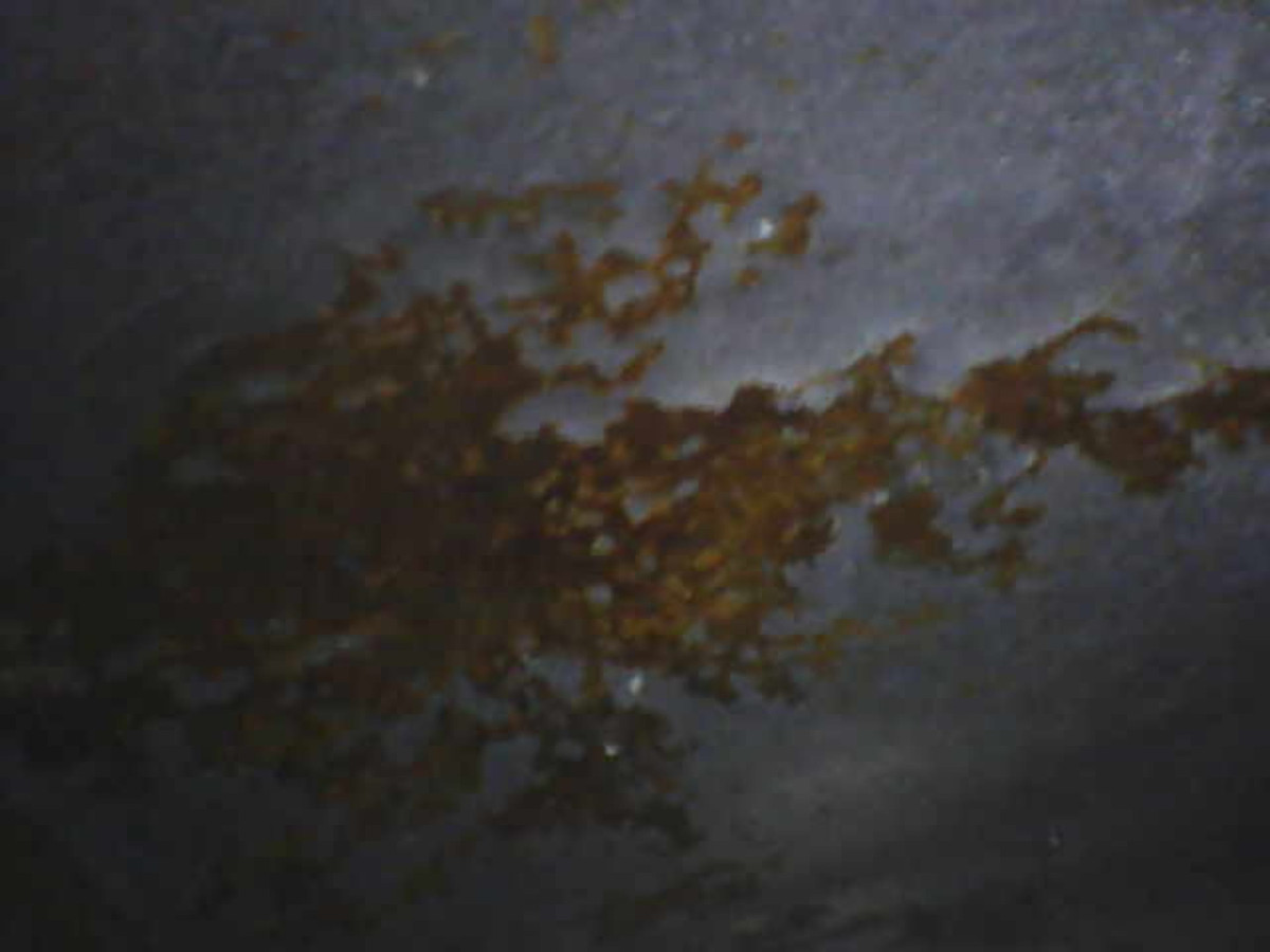 Tank2_Rost.jpg