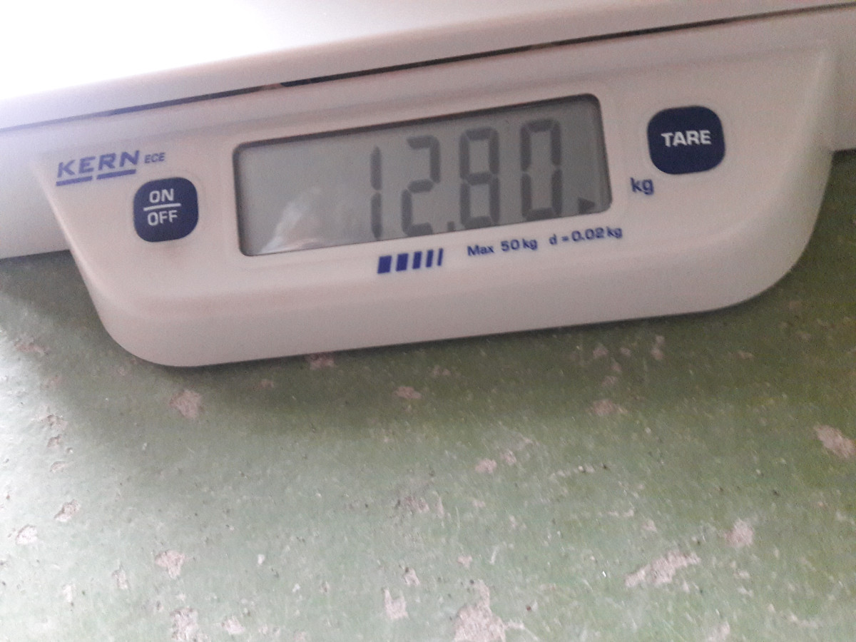 20221019_140528.jpg