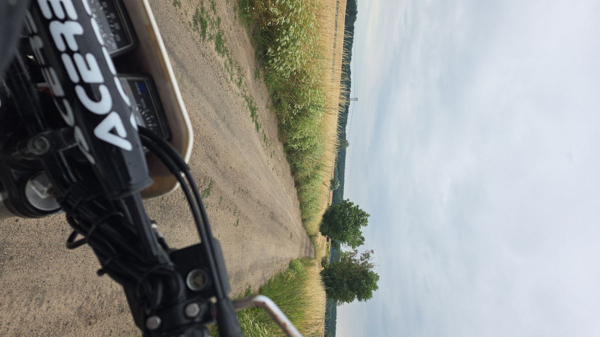 So sah der Trail an den leichteren Passagen aus. Bei viel losem Sand oder großen Pfützen und Matsch habe ich mich nicht getraut anzuhalten, weil ich mich alleine nicht festfahren wollte.