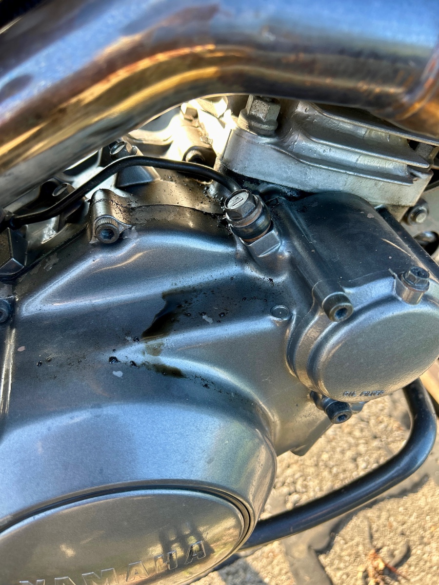 IMG_1451.jpeg