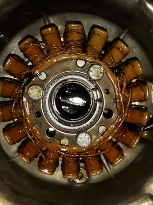 Stator.jpeg